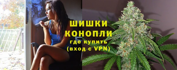 гашик Лагань
