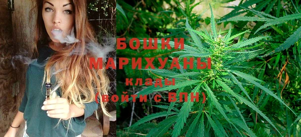 молекула духа Лиски