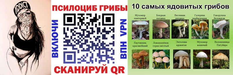 Псилоцибиновые грибы мицелий  цена   Мглин 